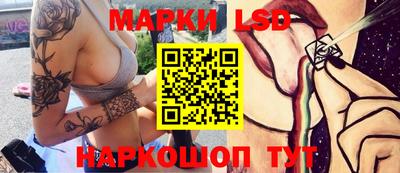 индика Обь