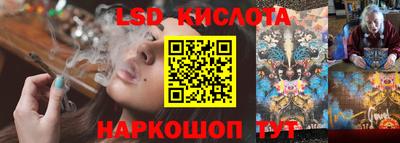 индика Обь