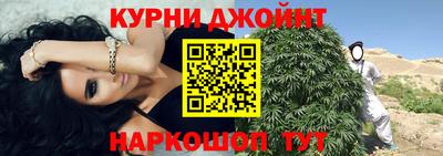индика Обь
