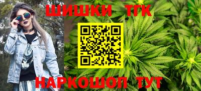 индика Обь