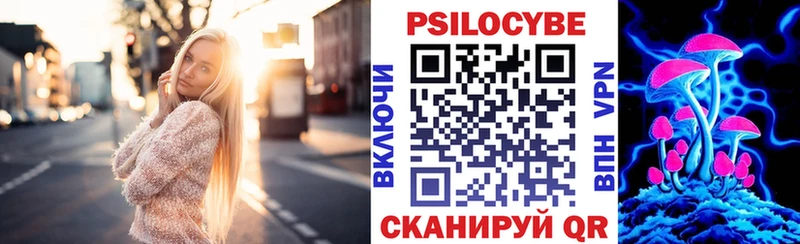 Псилоцибиновые грибы MAGIC MUSHROOMS  blacksprut как войти  Черняховск 