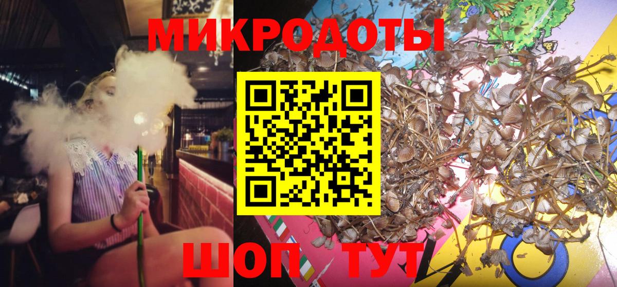Галлюциногенные грибы мухоморы Черняховск