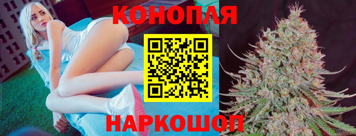 Бошки марихуана конопля  Каннабис VHQ  Вход с VPN  Черняховск  Конопля конопля 